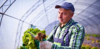SE SOLICITA TRABAJADOR AGRÍCOLA PARA COSECHA DE VERDURAS Y CONTROL DE CALIDAD DE PRODUCTOS, DISPONIBILIDAD INMEDIATA