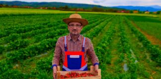 SE SOLICITA TRABAJADOR AGRÍCOLA PARA COSECHA DE FRESAS (MÍNIMA EXPERIENCIA)