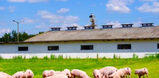 SE SOLICITA PEÓN DE GRANJA PARA MANTENIMIENTO GENERAL Y CUIDADO DE ANIMALES, NO SE REQUIERE EXPERIENCIA