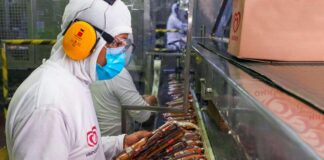 SE SOLICITA TRABAJADOR DE PRODUCCIÓN PARA CONTROL DE CALIDAD DE PRODUCTOS EN FÁBRICA DE HELADOS