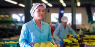 SE REQUIERE ENVASADORES/AS DE FRUTAS PARA CONTROL DE CALIDAD Y EMPAQUETADO DE PRODUCTOS