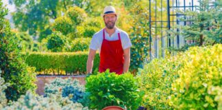 SE REQUIERE JARDINERO PARA MANTENIMIENTO DE ÁREAS VERDES EN TURNO DIURNO