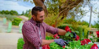 SE REQUIERE JARDINERO TEMPORAL HOMBRE Y/O MUJER PARA MANTENIMIENTO DE ÁREAS VERDES