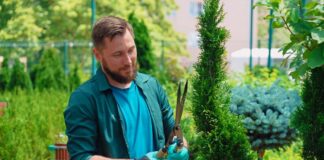 SE SOLICITA JARDINERO PARA MANTENIMIENTO GENERAL DE PLANTAS, LUNES A VIERNES