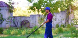 SE SOLICITA JARDINERO CON O SIN EXPERIENCIA PARA MANTENIMIENTO DE TERRENOS Y ÁREAS VERDES