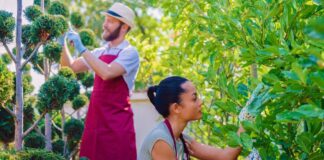 SE SOLICITA JARDINERO PARA MANTENIMIENTO DE ZONAS VERDES, DISPONIBILIDAD INMEDIATA