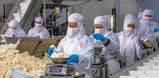 SE REQUIERE PELADORES DE YUCA PARA CONTROL DE CALIDAD Y ENVASADO DE PRODUCTOS