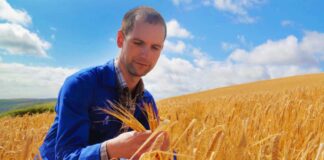 SE REQUIERE TRABAJADORES AGRÍCOLAS CON MÍNIMA EXPERIENCIA PARA COSECHA DE TRIGO