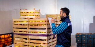 SE SOLICITA PERSONAL DE ALMACÉN PARA CARGA Y DESCARGA DE ALIMENTOS (HOMBRE Y/O MUJER)