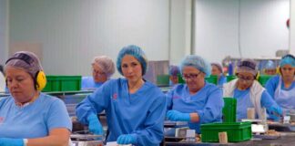 SE REQUIERE OPERARIO DE PRODUCCIÓN PARA PLANTA DE ALIMENTOS (MÍNIMA EXPERIENCIA)