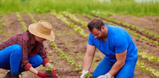 SE SOLICITA TRABAJADOR AGRÍCOLA PARA RIEGO DE PRODUCTOS EN COSECHA (PAGO POR HORA)