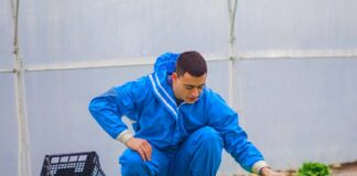 SE REQUIERE TRABAJADOR AGRÍCOLA CON MÍNIMA EXPERIENCIA PARA COSECHA DE VERDURAS