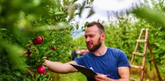 SE SOLICITA TRABAJADOR AGRÍCOLA PARA CONTROL DE PRODUCTOS EN COSECHA
