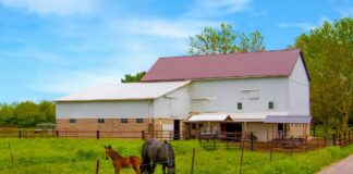 SE SOLICITA AYUDANTE DE GRANJA PARA CUIDADO DE ANIMALES (TURNO MAÑANA)