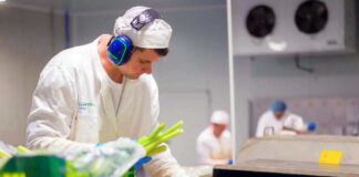 SE SOLICITA PERSONAL DE PRODUCCIÓN CON O SIN EXPERIENCIA PARA ENVASADO DE PRODUCTOS EN FÁBRICA DE ALIMENTOS