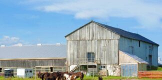 SE REQUIERE TRABAJADOR DE RANCHO PARA CUIDADO DE ANIMALES (MEDIO TIEMPO)