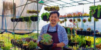 SE SOLICITA TRABAJADOR PARA VIVERO CON MÍNIMA EXPERIENCIA (RECOLECCIÓN DE PRODUCTOS)