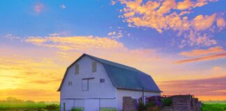 SE REQUIERE AYUDANTE DE GRANJA PARA LABORES GENERALES EN COSECHA DE VEGETALES
