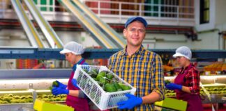 SE SOLICITA EMPACADOR DE FRUTAS Y VERDURAS, NO SE REQUIERE EXPERIENCIA