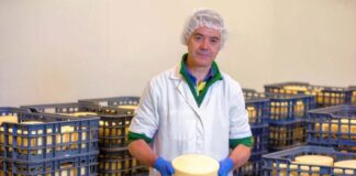 SE SOLICITA EMPACADOR DE QUESO HOMBRE Y/O MUJER (CON O SIN EXPERIENCIA)