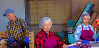 SE SOLICITA EMPACADOR PARA AYUDAR CON EL CONTROL DE CALIDAD DE PRODUCTOS, TIEMPO COMPLETO