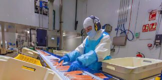 SE SOLICITA EMPACADORES DE PESCADO PARA ENVASADO DE PRODUCTOS (TURNO ROTATIVO)