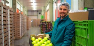 SE SOLICITA ENVASADOR/A DE FRUTA TEMPORAL PARA JORNADA DE TIEMPO COMPLETO