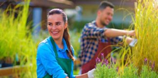 SE SOLICITA JARDINEROS PARA CUIDADO DE PLANTAS Y RIEGO DE ÁREAS VERDES