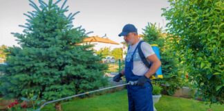 SE REQUIERE JARDINERO DE TIEMPO COMPLETO CON DISPONIBILIDAD INMEDIATA PARA MANTENIMIENTO DE ÁREAS VERDES