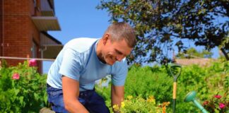SE REQUIERE JARDINERO/A PARA MANTENIMIENTO DE ARBUSTOS, LUNES A VIERNES