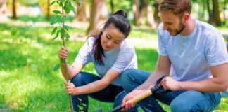 SE SOLICITA JARDINERO CON DISPONIBILIDAD INMEDIATA PARA MANTENIMIENTO DE ZONAS VERDES