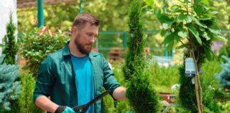 SE SOLICITA JARDINERO PARA MANTENIMIENTO DE ÁREAS VERDES (PAGO POR HORA)