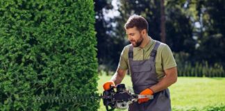 SE SOLICITA JARDINERO PARA APOYO EN MANTENIMIENTO DE ÁREAS VERDES (HOMBRE Y/O MUJER)
