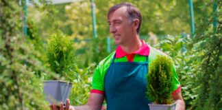 SE SOLICITA JARDINERO PARA MANTENIMIENTO DE ÁREAS VERDES, TIEMPO COMPLETO Y MEDIO TIEMPO