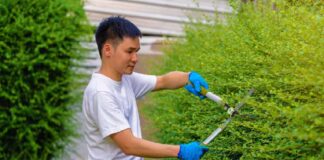 SE REQUIERE JARDINERO PARA RIEGO Y PODADO DE ÁREAS VERDES (MEDIO TIEMPO)