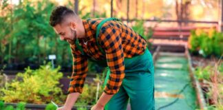SE REQUIERE JARDINERO CON DISPONIBILIDAD INMEDIATA PARA CUIDADO Y RIEGO DE ÁREAS VERDES (08:00AM A 16:30PM)