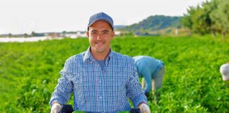 SE SOLICITA PEONES DE CAMPO CON O SIN EXPERIENCIA PARA COSECHA DE PRODUCTOS