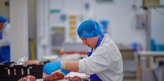 SE REQUIERE PERSONAL DE PRODUCCIÓN PARA CLASIFICACIÓN DE PRODUCTOS, NO SE REQUIERE EXPERIENCIA