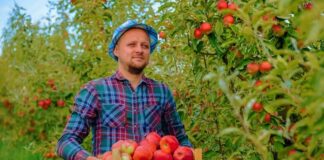 SE REQUIERE PEÓN/A AGRÍCOLA PARA MANTENIMIENTO DE ÁREAS (MEDIO TIEMPO)
