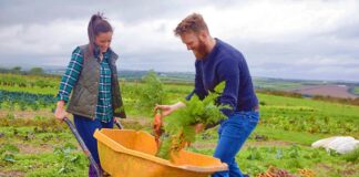 SE REQUIERE PEÓN AGRÍCOLA CON O SIN EXPERIENCIA (TIEMPO COMPLETO)