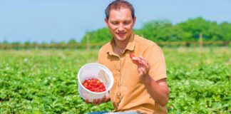 SE REQUIERE TRABAJADOR AGRÍCOLA PARA COSECHA DE FRUTAS Y VERDURAS