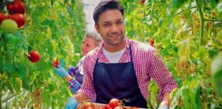 SE SOLICITA TRABAJADOR AGRÍCOLA CON MÍNIMA EXPERIENCIA PARA COSECHA DE TOMATE