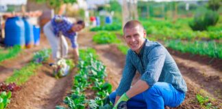 SE REQUIERE TRABAJADOR AGRÍCOLA PARA COSECHA DE VERDURAS (HOMBRE Y/O MUJER)