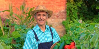 SE REQUIERE TRABAJADOR DE CAMPO PARA COSECHA DE VERDURAS, NO SE REQUIERE EXPERIENCIA