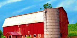 SE SOLICITA TRABAJADOR GANADERO CON MÍNIMA EXPERIENCIA PARA LABORES GENERALES EN GRANJA