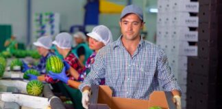SE SOLICITA ENVASADOR/A DE FRUTA PARA CLASIFICADO Y ETIQUETADO DE PRODUCTOS