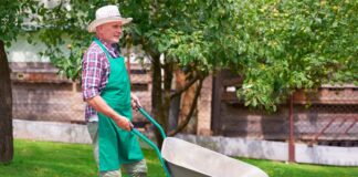 SE REQUIERE AYUDANTE DE JARDINERÍA PARA JORNADA DE MEDIO TIEMPO (CON O SIN EXPERIENCIA)
