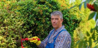 SE SOLICITA JARDINERO PARA RIEGO Y PODADO DE ÁREAS VERDES (CON O SIN EXPERIENCIA)