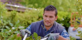 SE SOLICITA JARDINERO PARA PODADO Y MANTENIMIENTO DE ÁREAS VERDES, NO SE REQUIERE EXPERIENCIA