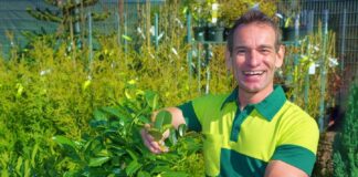 SE REQUIERE PEÓN DE JARDINERÍA CON O SIN EXPERIENCIA PARA CUIDADO Y RIEGO DE ÁREAS VERDES